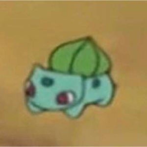 Meet your Posher, Lee